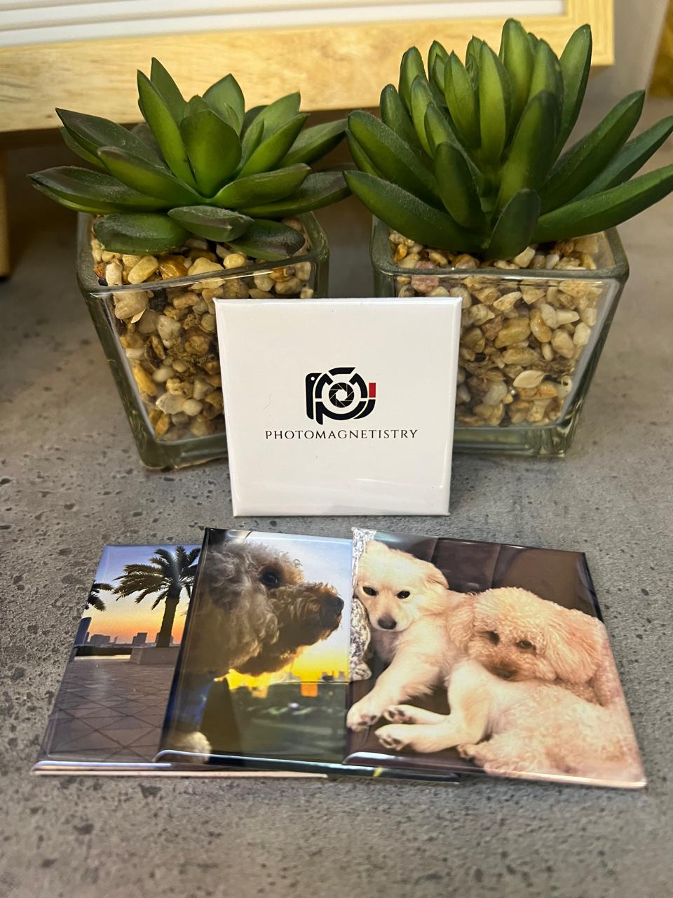 Pack of 12 - (2x2'')