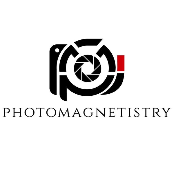 PhotoMagnetistry